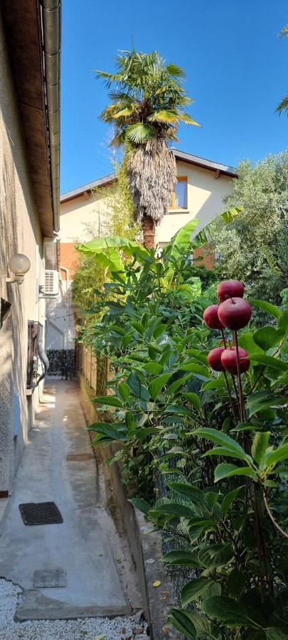 Studio Simone - Terrasse Et Jardin - Tv - Wifi 圖盧茲 外观 照片